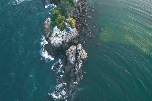 閱讀文言文的技巧