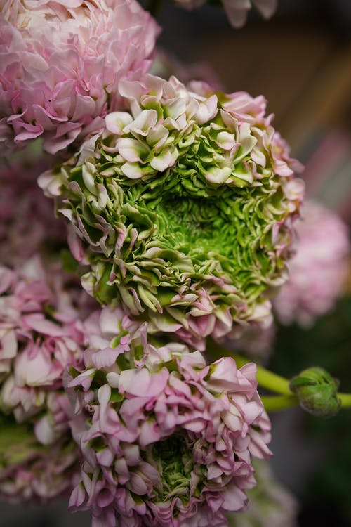 爽文葉凡何思凝小說葉凡是帝師在線閱讀