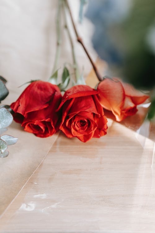 水仙子居庸關(guān)中秋對月賞析