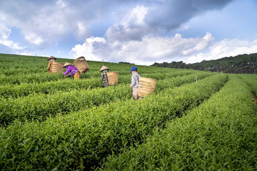 白色情人節(jié)的祝福語大全 白色情人節(jié)的祝福語大全