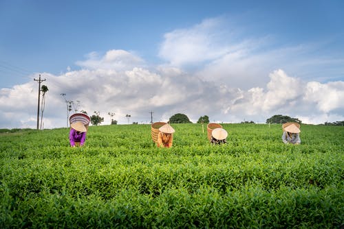 關(guān)于五年級(jí)日記模板合集七篇