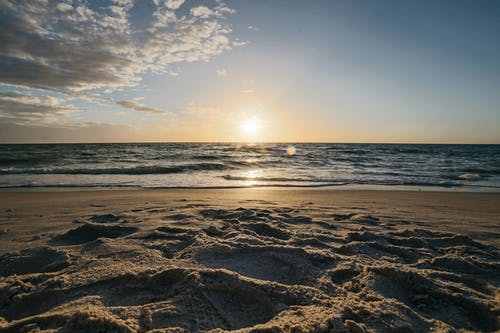 全世界都等著我們結(jié)婚小說木桐利澤野甜寵章節(jié)閱讀