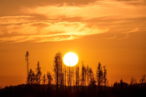 教師節(jié)賀卡祝福語短