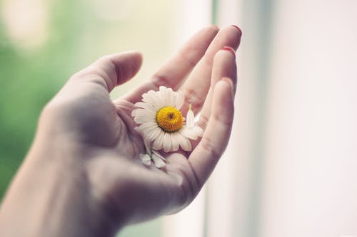 對老師的感謝的詩句