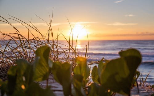 電視劇《海派甜心》中的經(jīng)典臺詞