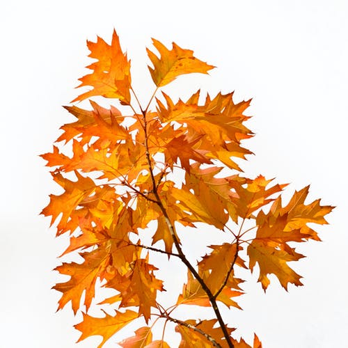 【精】珍惜時(shí)間的詩句