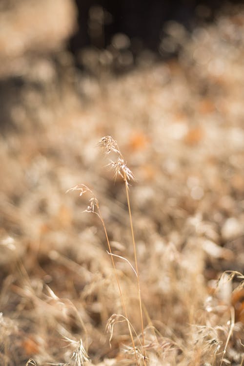 靈異奇門龍婿小說周全陳靈兒無彈窗閱讀