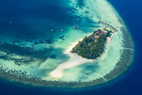 同義詞的選則使用 同義詞的選則使用