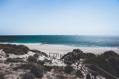 五年級(jí)日記不一樣的陪伴