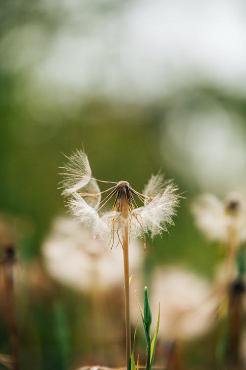 欣賞自己，就是幸福的開始人生哲理