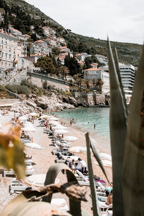 星海緣生小說連載中游非迪克章節(jié)閱讀