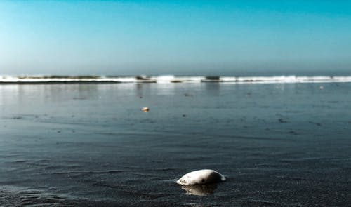 世上最疼我的那個(gè)人去了感恩勵(lì)志