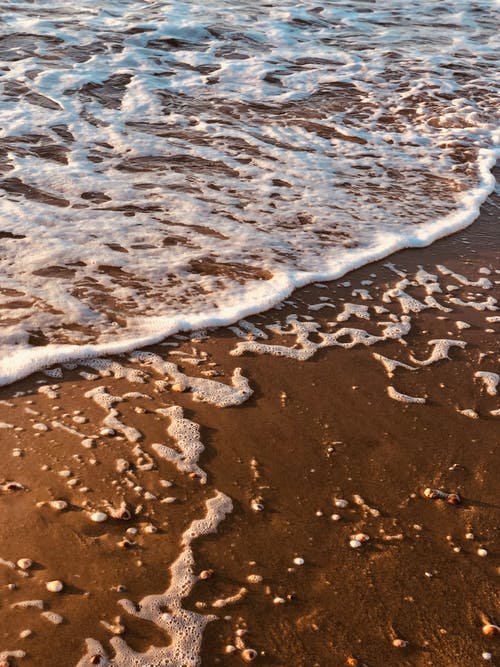 2020年春分祝福語36條