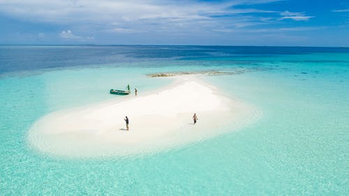 【精選】四年級(jí)日記模板匯總5篇