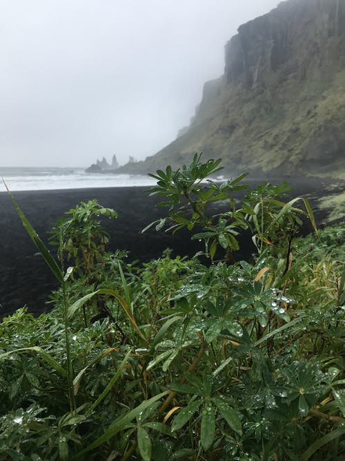 酬張卿夜宿南陵見贈賞析及譯文注釋
