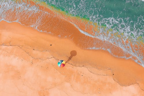 五年級小說彼岸復(fù)仇第四章