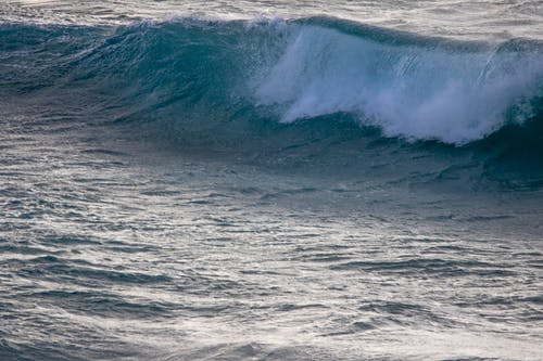 關(guān)于寫開學的日記