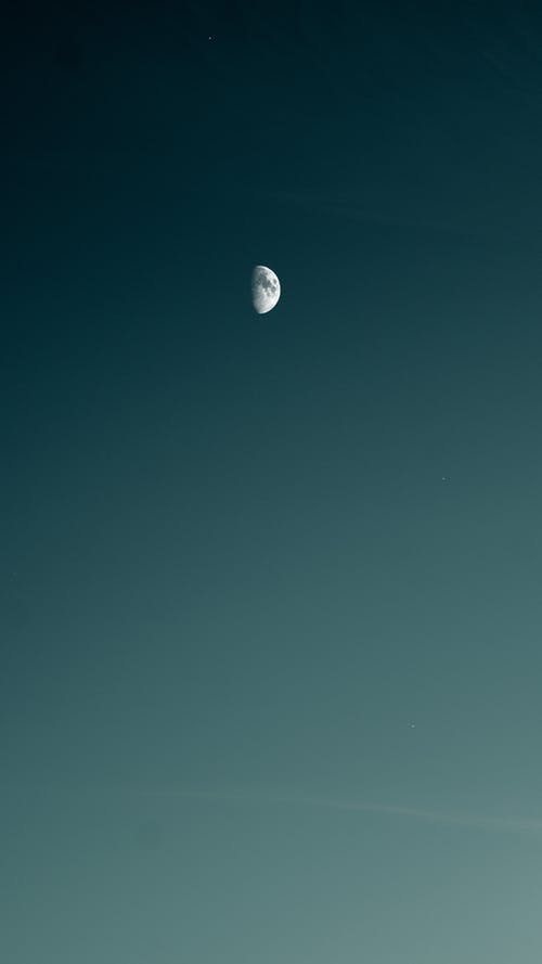 表達芒種快樂的祝福語錦集40條