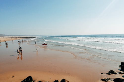 這個道士不好惹小說楚河蘇晴無彈窗章節(jié)閱讀