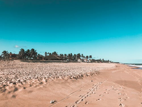 2021年優(yōu)美文藝句子摘錄70句