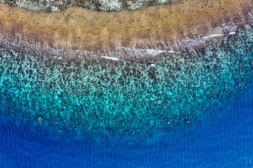 五年級(jí)敘事作文撲通撲通我的心