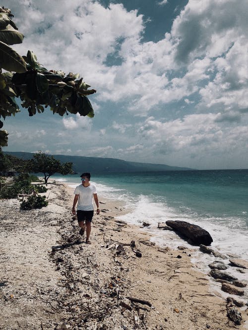 尹淺夏厲御琛小說國民女神不好惹整本閱讀