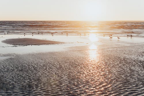 五年級想象作文未來的房子 五年級想象作文未來的房子