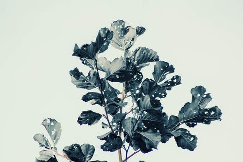 重生1997小說陳震林婉爽文在線閱讀