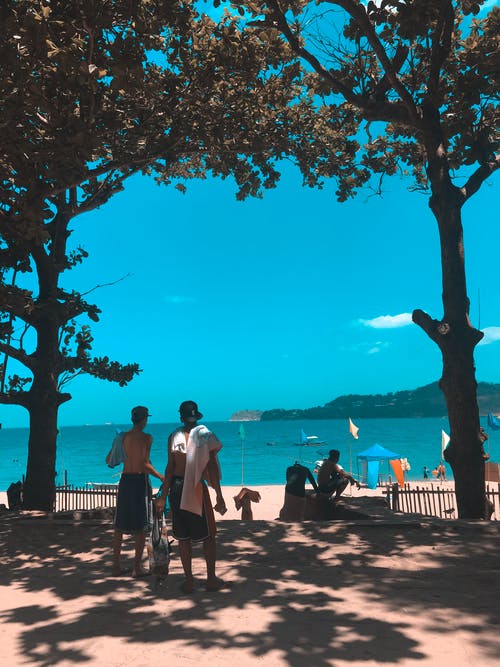 2021年祝植樹(shù)節(jié)快樂(lè)的祝福語(yǔ)錦集31句 2021年祝植樹(shù)節(jié)快樂(lè)的祝福語(yǔ)錦集31句