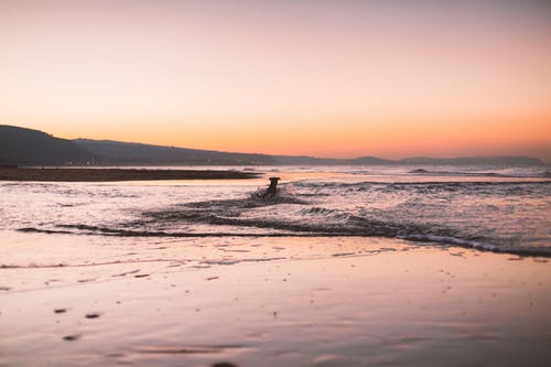 duang完整臺詞 duang完整臺詞