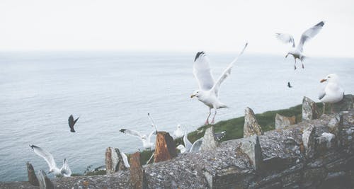 送梓州李使君譯文賞析詩詞