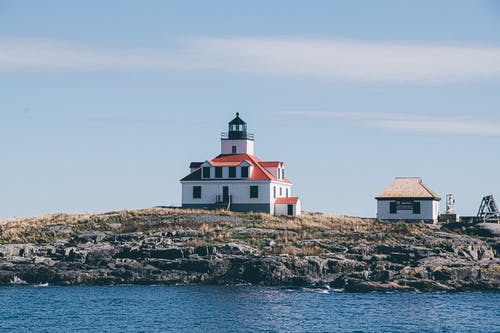 五年級想象作文假如我有一只尼爾斯的鵝