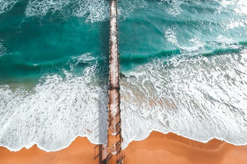 讀書隨筆作文850字