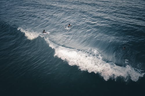 謝謝你讓我寫村上春樹一樣的文字現(xiàn)代詩歌