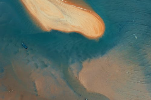 雛菊經(jīng)典臺詞 雛菊經(jīng)典臺詞