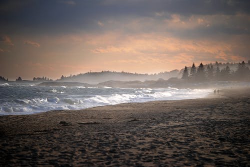 精選四年級日記模板七篇