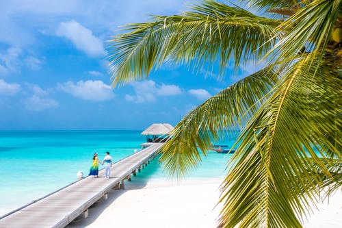 九龍殿主小說by日當(dāng)午林凡蘇嫣然無彈窗閱讀