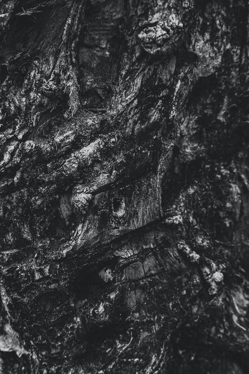 電影《終結(jié)者創(chuàng)世紀(jì)》經(jīng)典臺(tái)詞