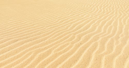 優(yōu)美的除夕祝福語(yǔ)23句 優(yōu)美的除夕祝福語(yǔ)23句