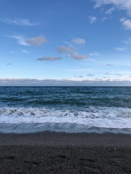 總裁大神boss來領(lǐng)證小說艾小郁秦宋全文閱讀