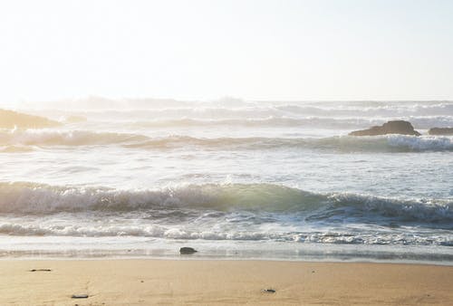 常用多音字總結(jié)【二】