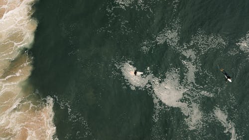 關(guān)于古詩作文500字5篇