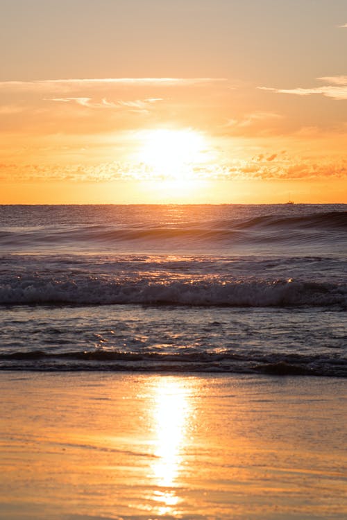 【精選】國(guó)家勵(lì)志獎(jiǎng)學(xué)金申請(qǐng)書4篇