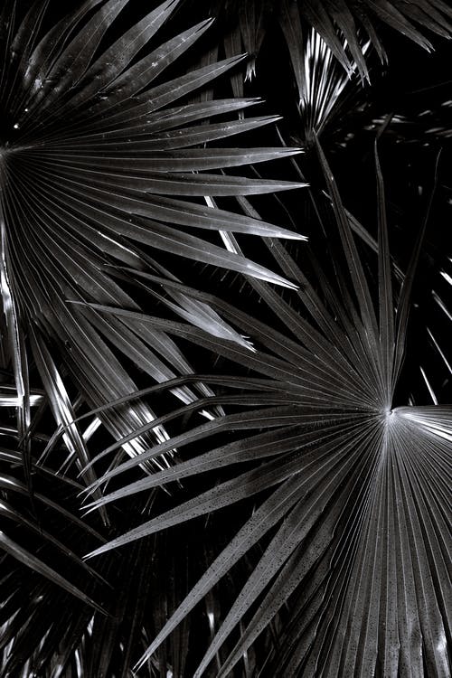 觀《烏龜也上網(wǎng)》有感——精誠(chéng)所加，金石為開