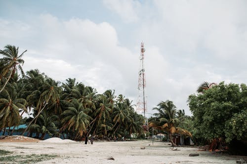 寫作基礎(chǔ)：如何寫好開頭