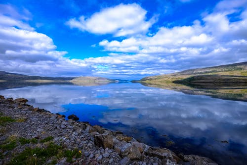 知我者鮑子文言文翻譯