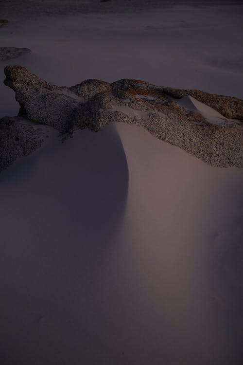 五年級(jí)寫(xiě)人作文“啞巴”說(shuō)話(huà)了