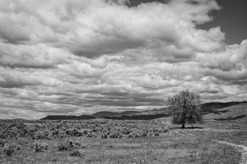 遠(yuǎn)得要命的愛(ài)情經(jīng)典臺(tái)詞