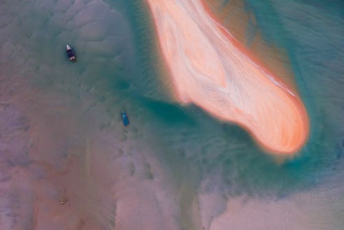 關(guān)于古詩的作文合集五篇