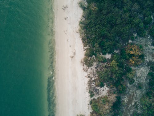 大上海經(jīng)典臺詞